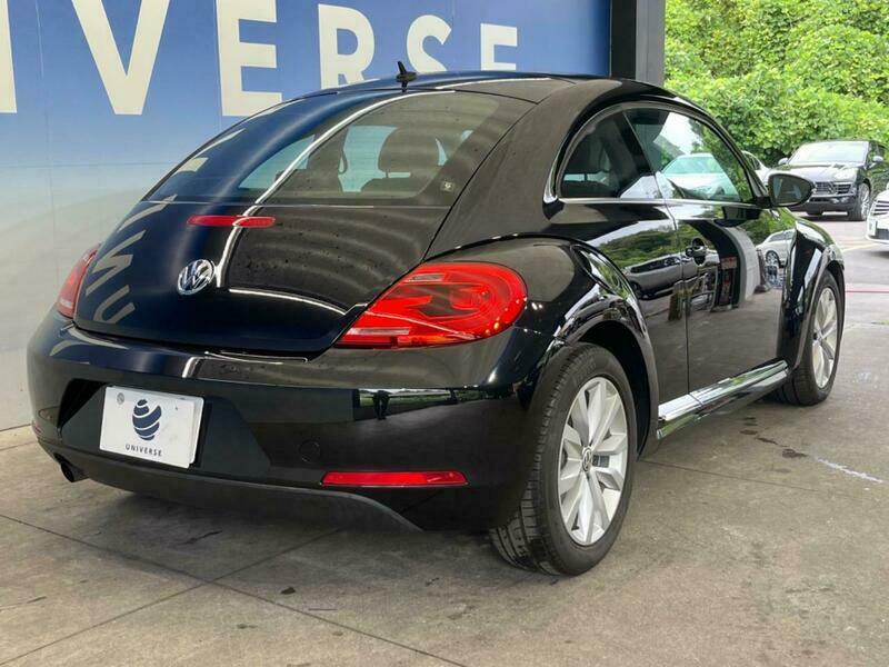 THE BEETLE