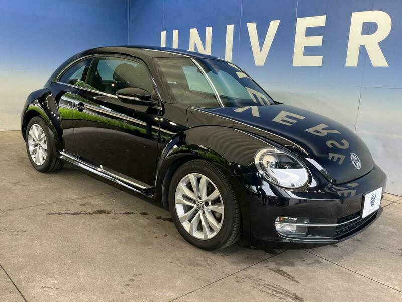 THE BEETLE