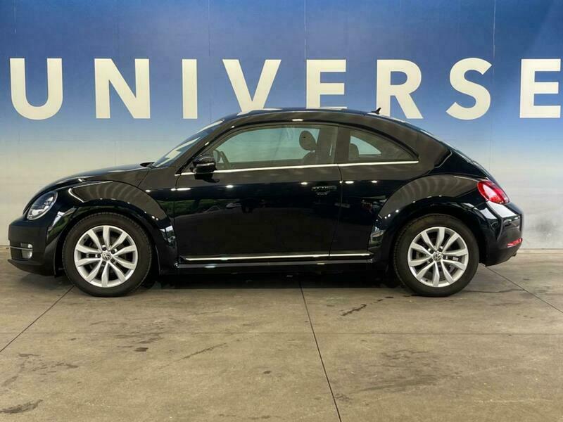 THE BEETLE