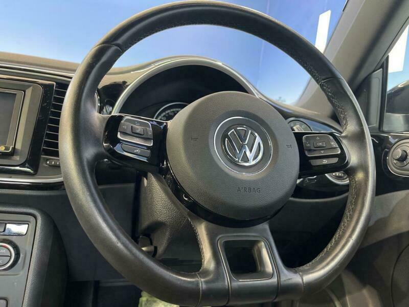 THE BEETLE