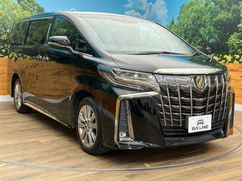 ALPHARD-64