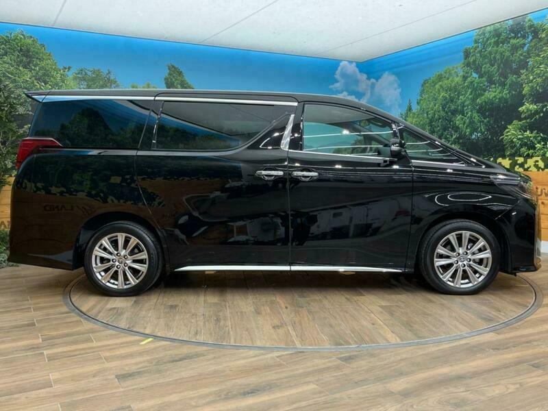 ALPHARD-8