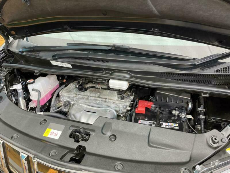 ALPHARD-17