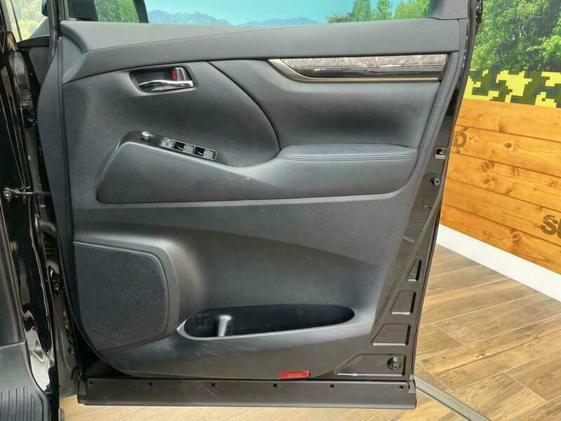 ALPHARD-13