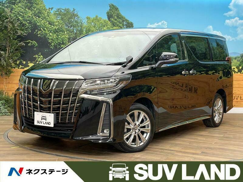 ALPHARD-66