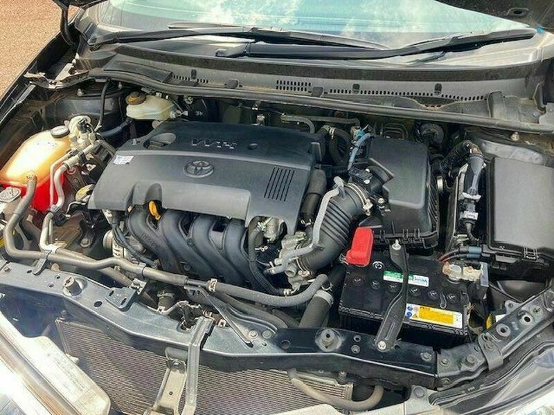 AURIS