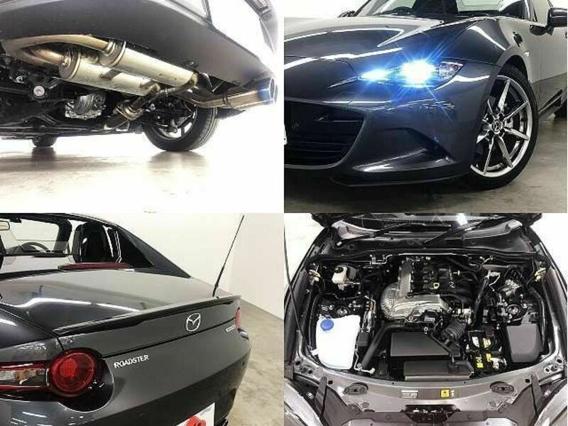 ROADSTER RF