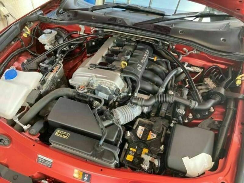 ROADSTER RF
