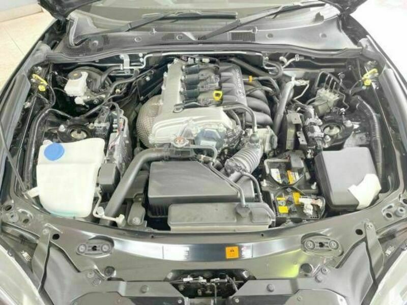 ROADSTER RF