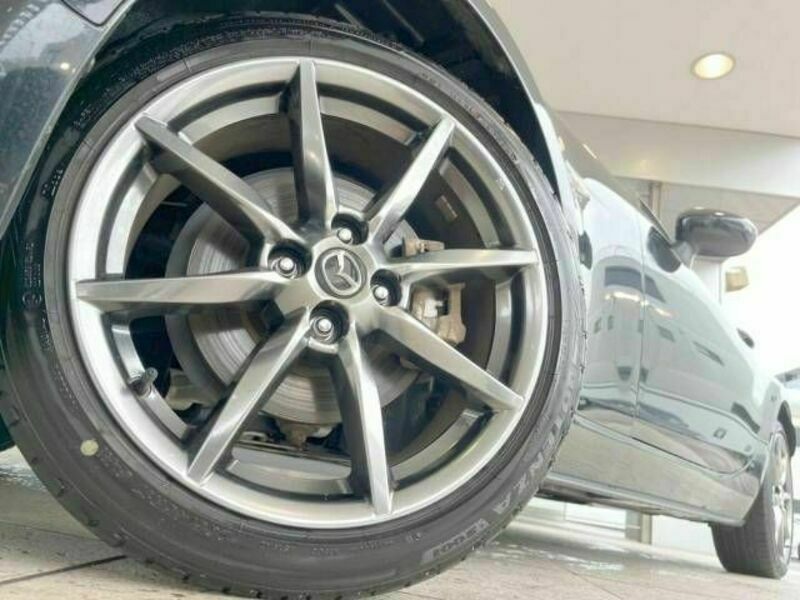 ROADSTER RF