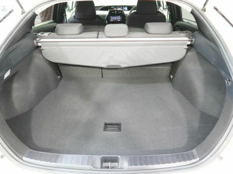 PRIUS-16