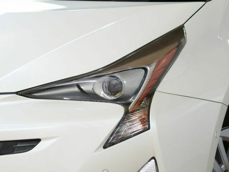 PRIUS-19
