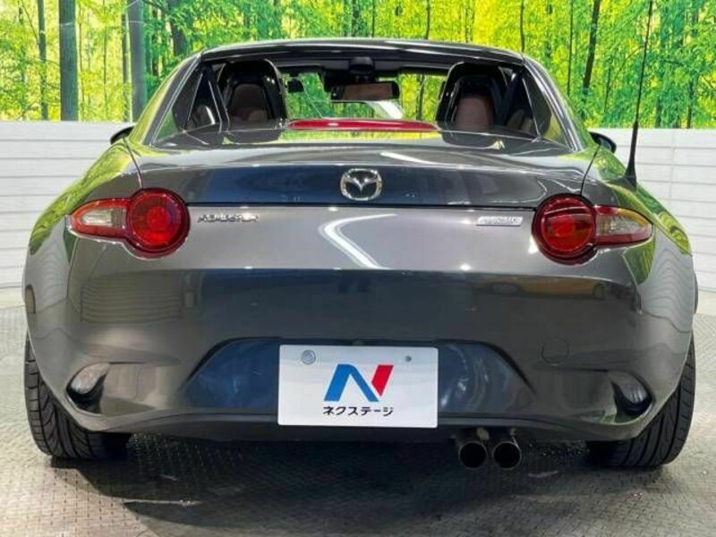 ROADSTER RF