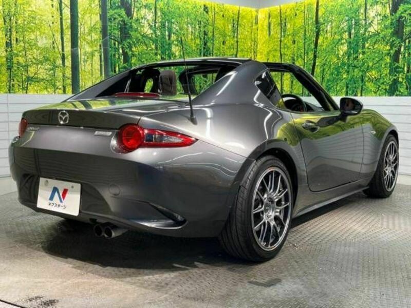 ROADSTER RF