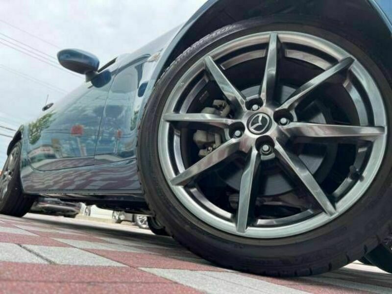 ROADSTER RF