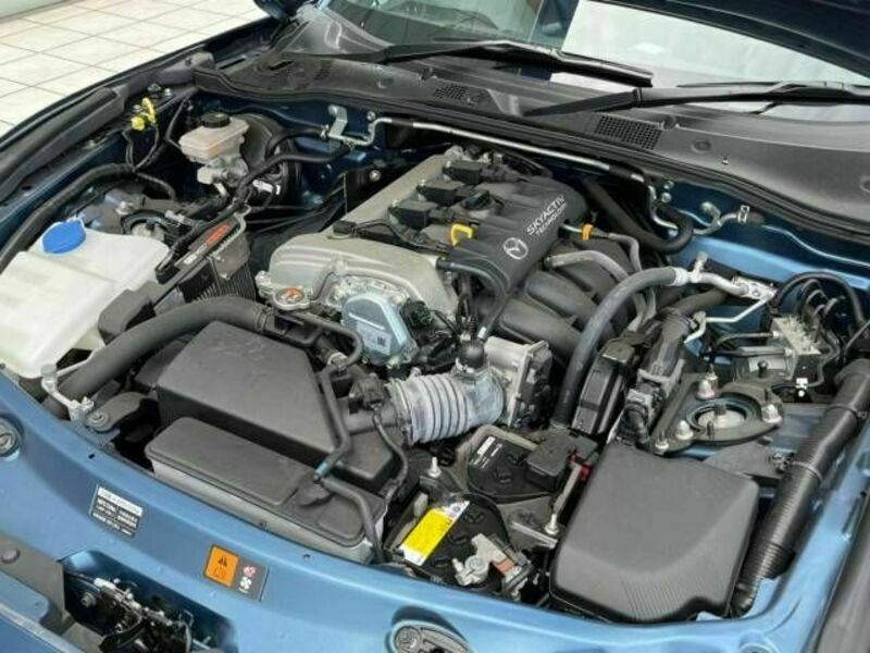 ROADSTER RF