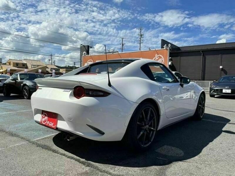 ROADSTER RF