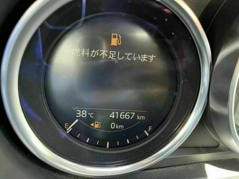 ROADSTER RF