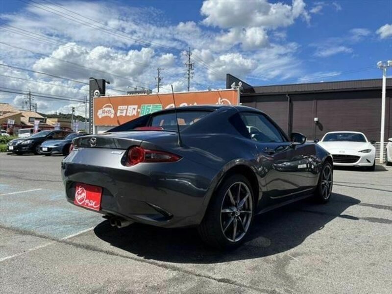 ROADSTER RF