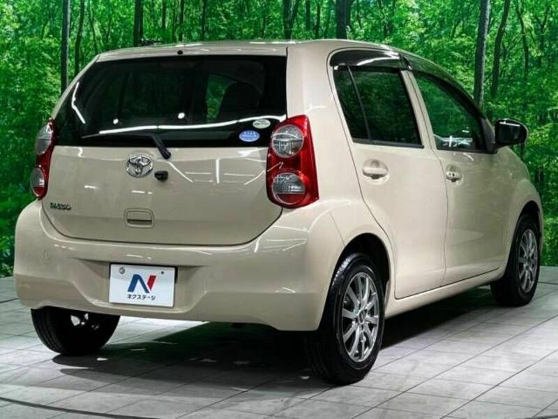 PASSO-14