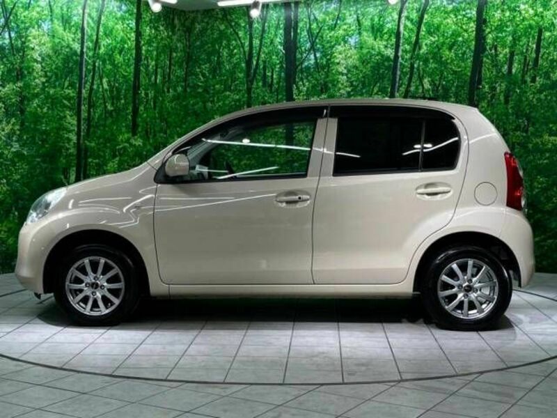 PASSO-18