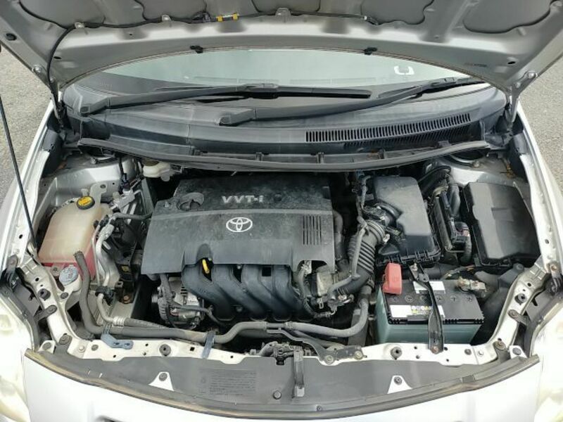 AURIS