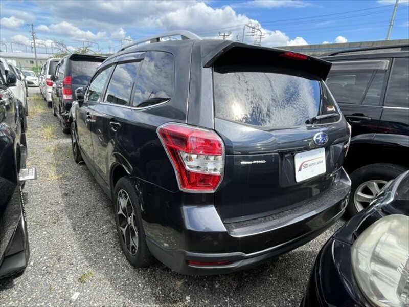 FORESTER