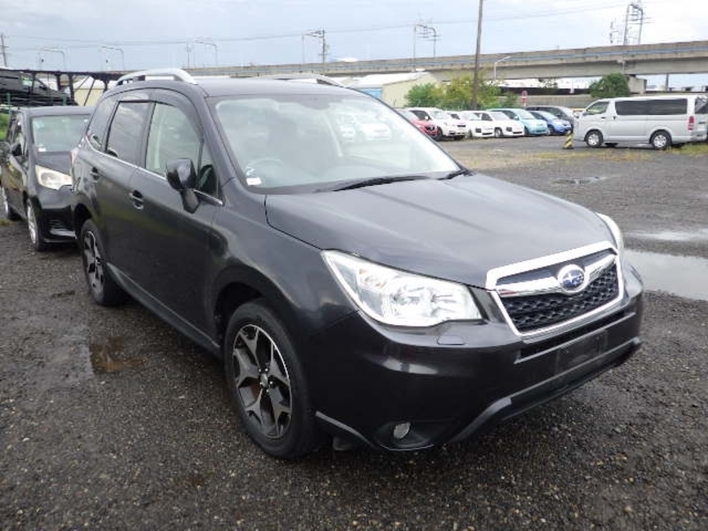 FORESTER