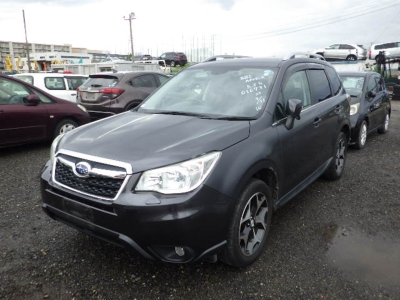 FORESTER