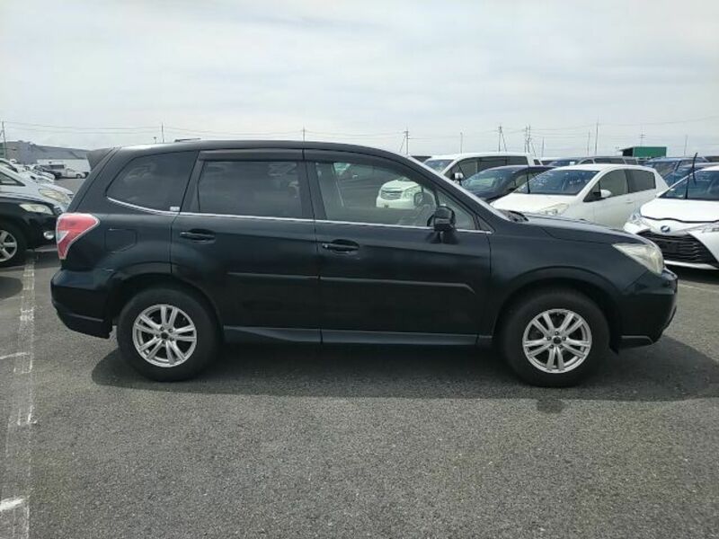 FORESTER