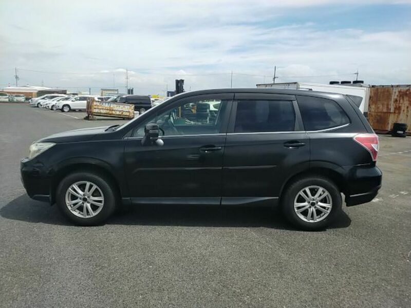 FORESTER