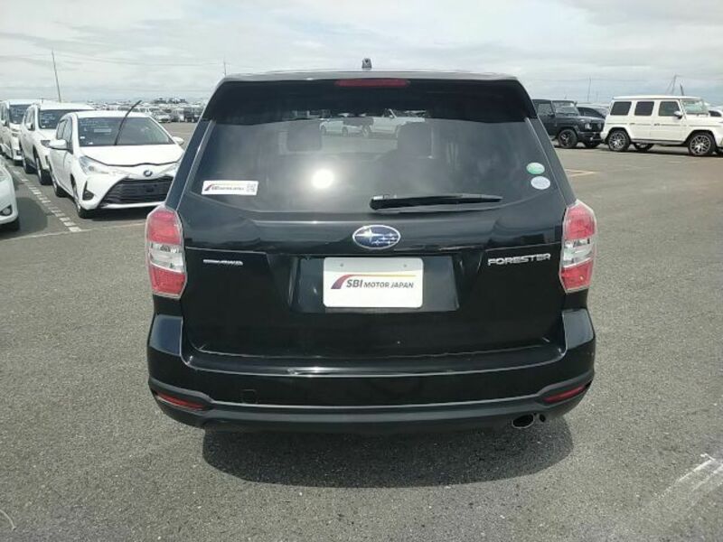 FORESTER