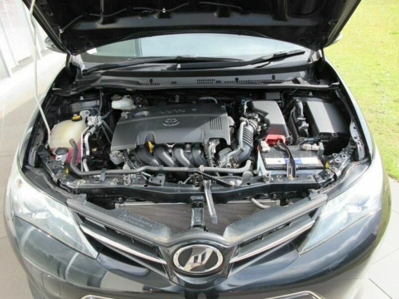 AURIS