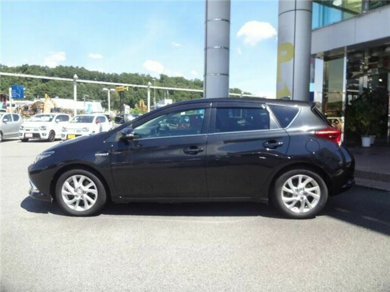 AURIS