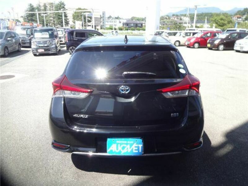 AURIS