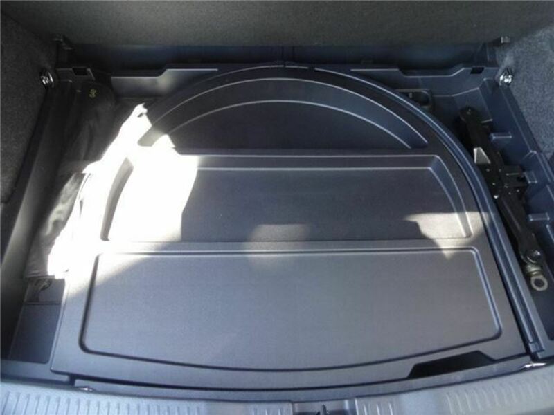 AURIS