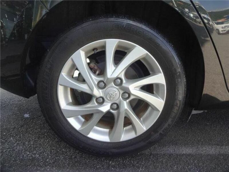AURIS