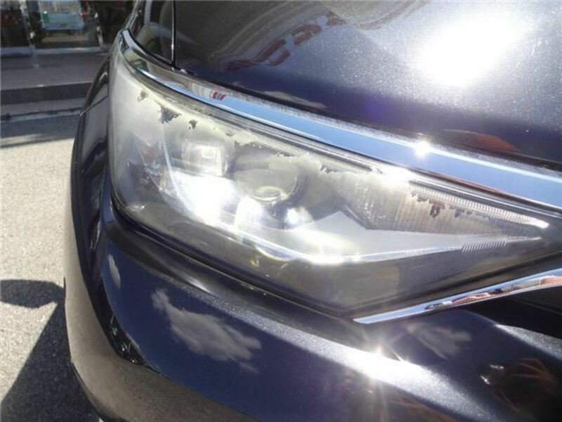 AURIS