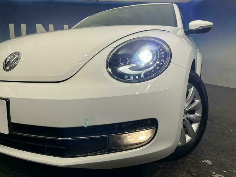 THE BEETLE