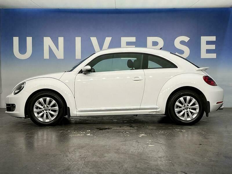 THE BEETLE