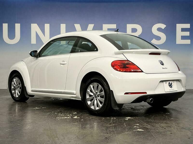 THE BEETLE