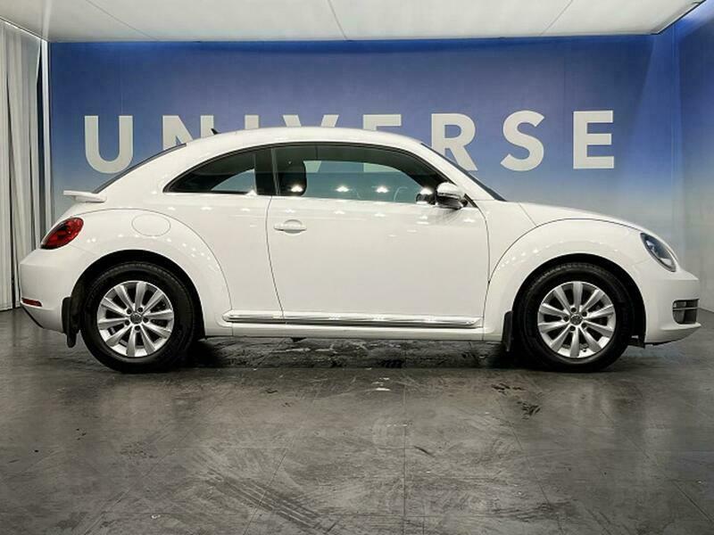 THE BEETLE