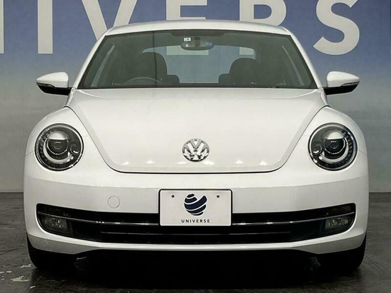 THE BEETLE