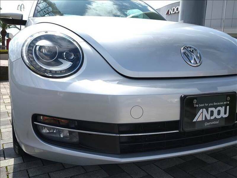 THE BEETLE