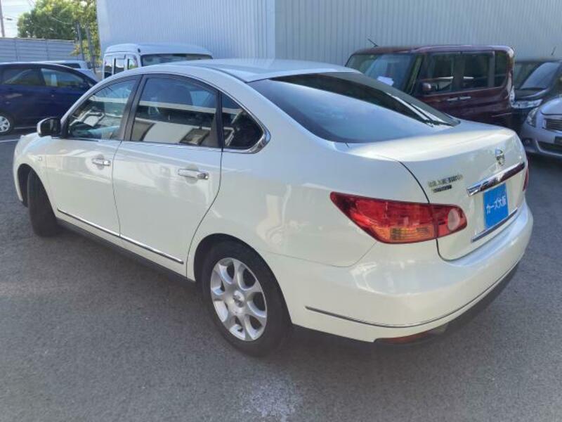BLUEBIRD SYLPHY