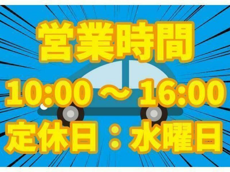BLUEBIRD SYLPHY