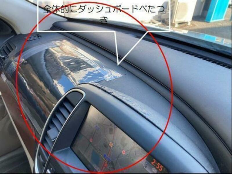 BLUEBIRD SYLPHY