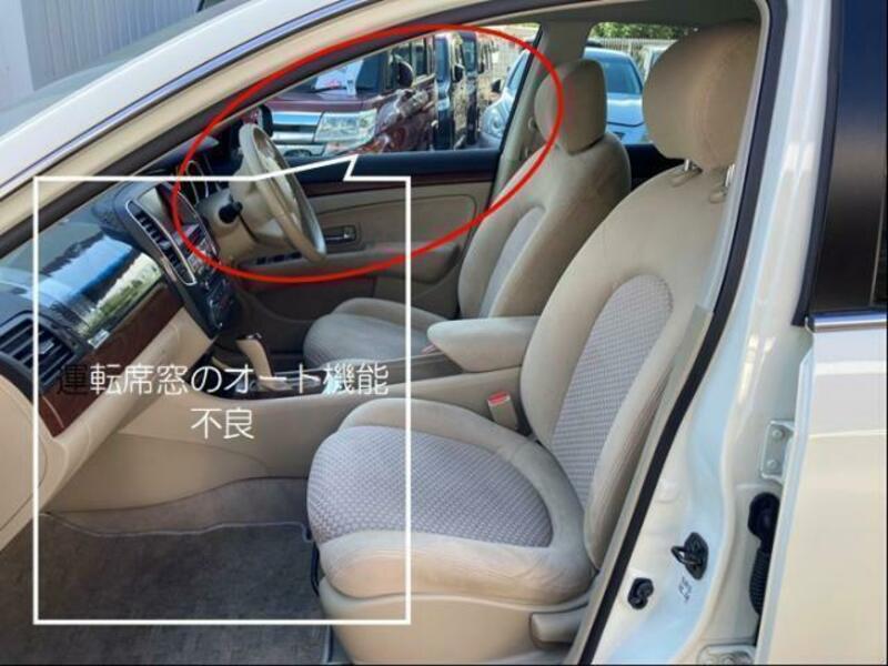 BLUEBIRD SYLPHY