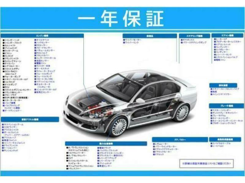 BLUEBIRD SYLPHY