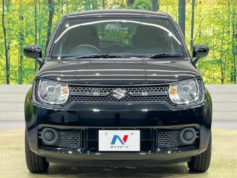 IGNIS